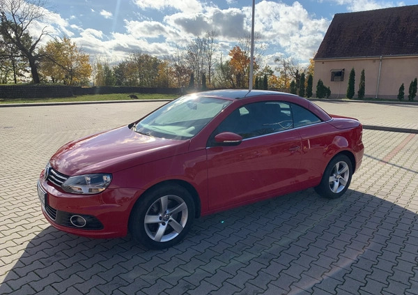 Volkswagen Eos cena 41999 przebieg: 182000, rok produkcji 2012 z Stalowa Wola małe 254